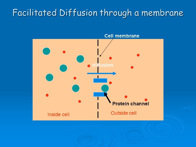 Facilitated Diffusion through a membrane Cell membrane Inside cell Outside cell Protein channel diffusion